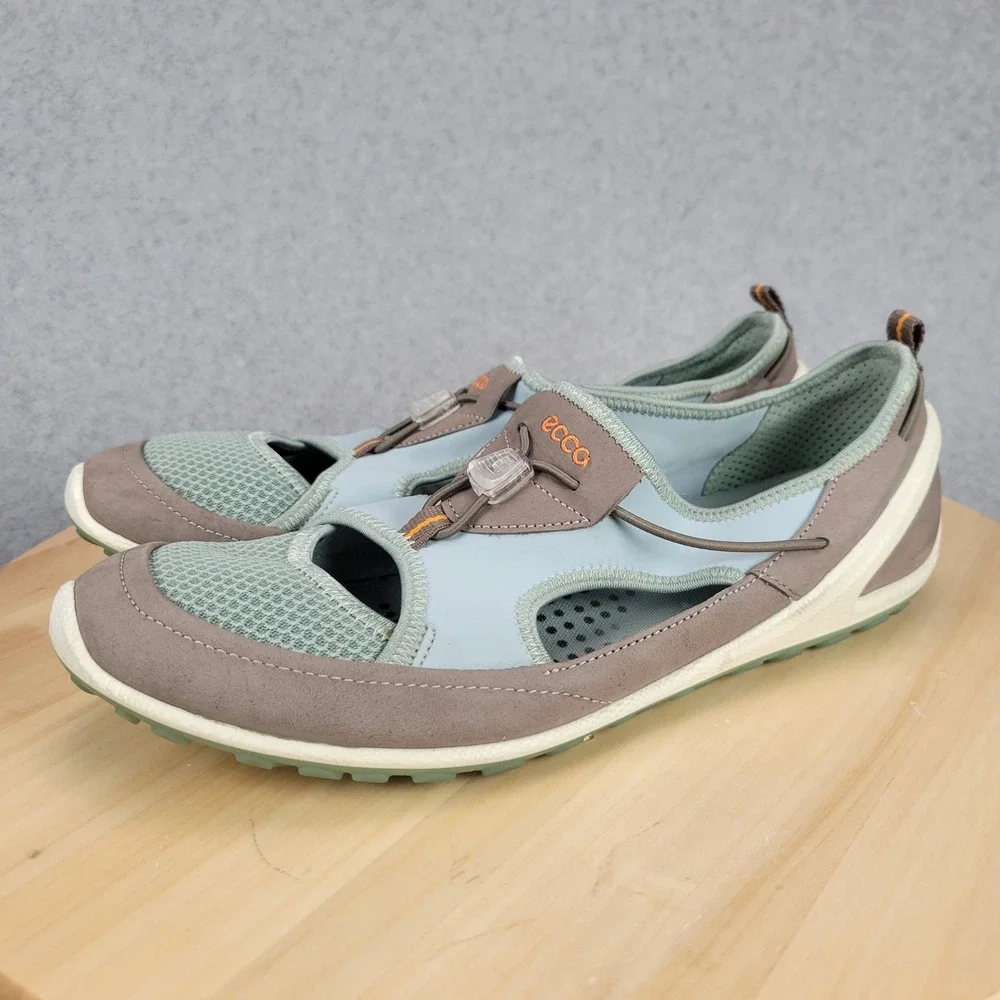 Ecco excellent pre